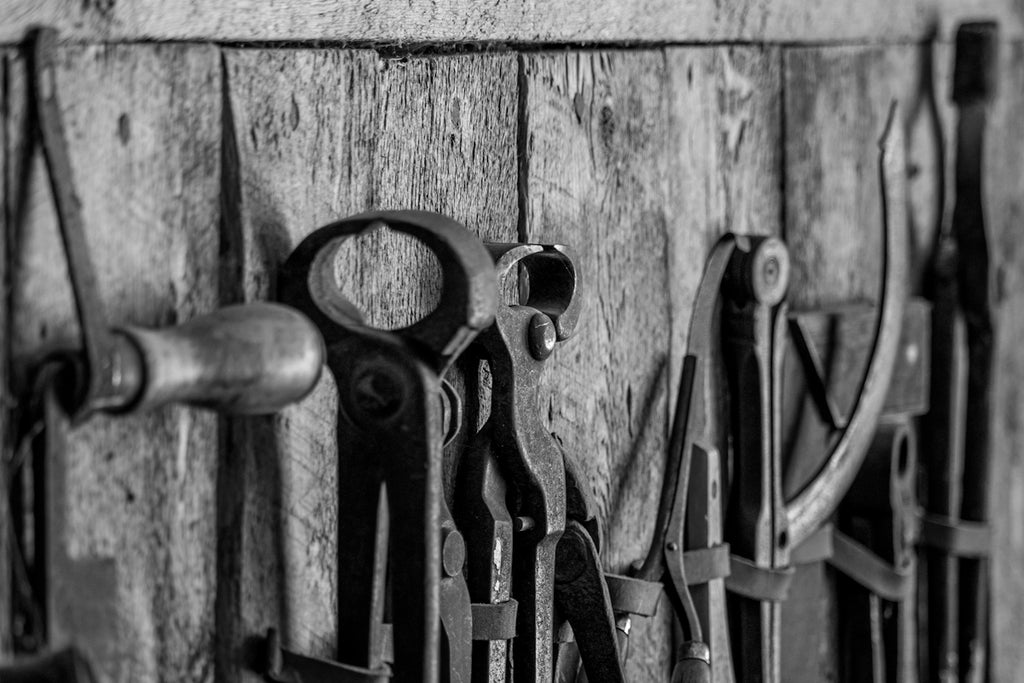 Analyzing the Benefits of Adopting Free AI Tools in Business