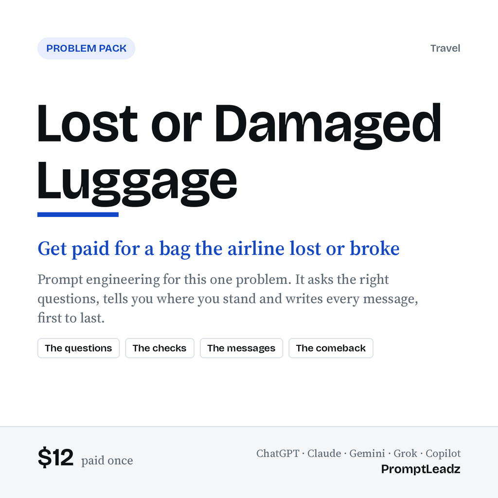 Lost or Damaged Luggage: Problem Pack cover