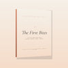 The First Bites baby food reset 3D book mockup with soft peach spine