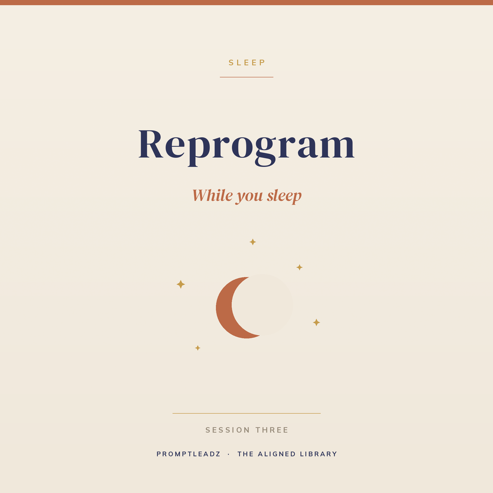 Reprogram While You Sleep session