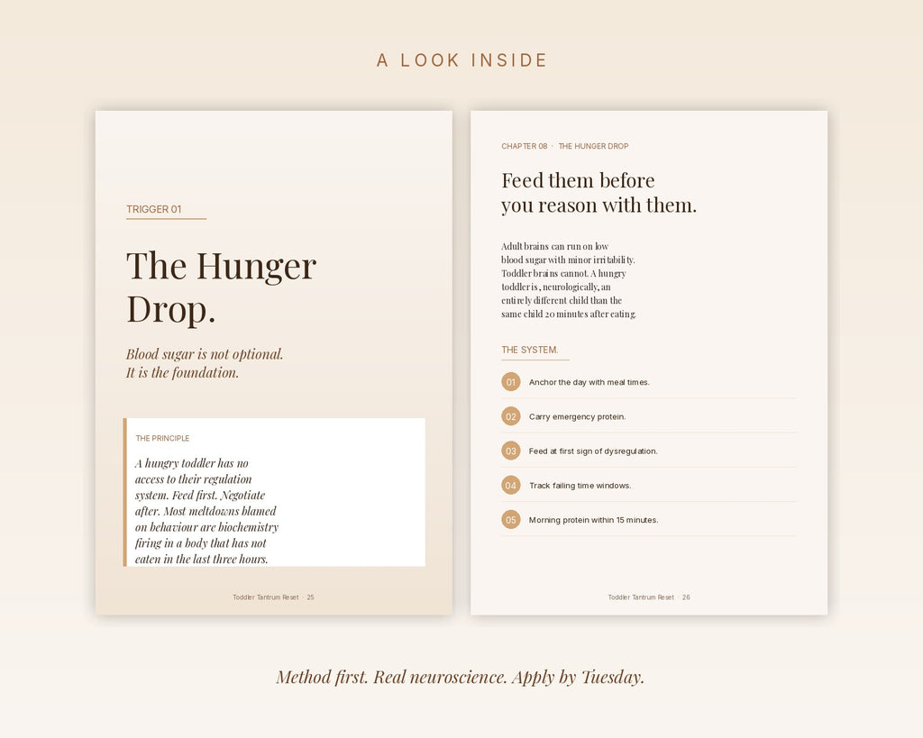 Page spread preview - Trigger 01 The Hunger Drop principle and prevention system